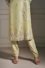 Classic Light Green Hand Embellished Kurta Set